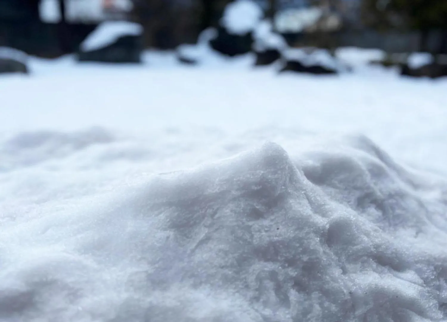 Furanostay 0*, Furano